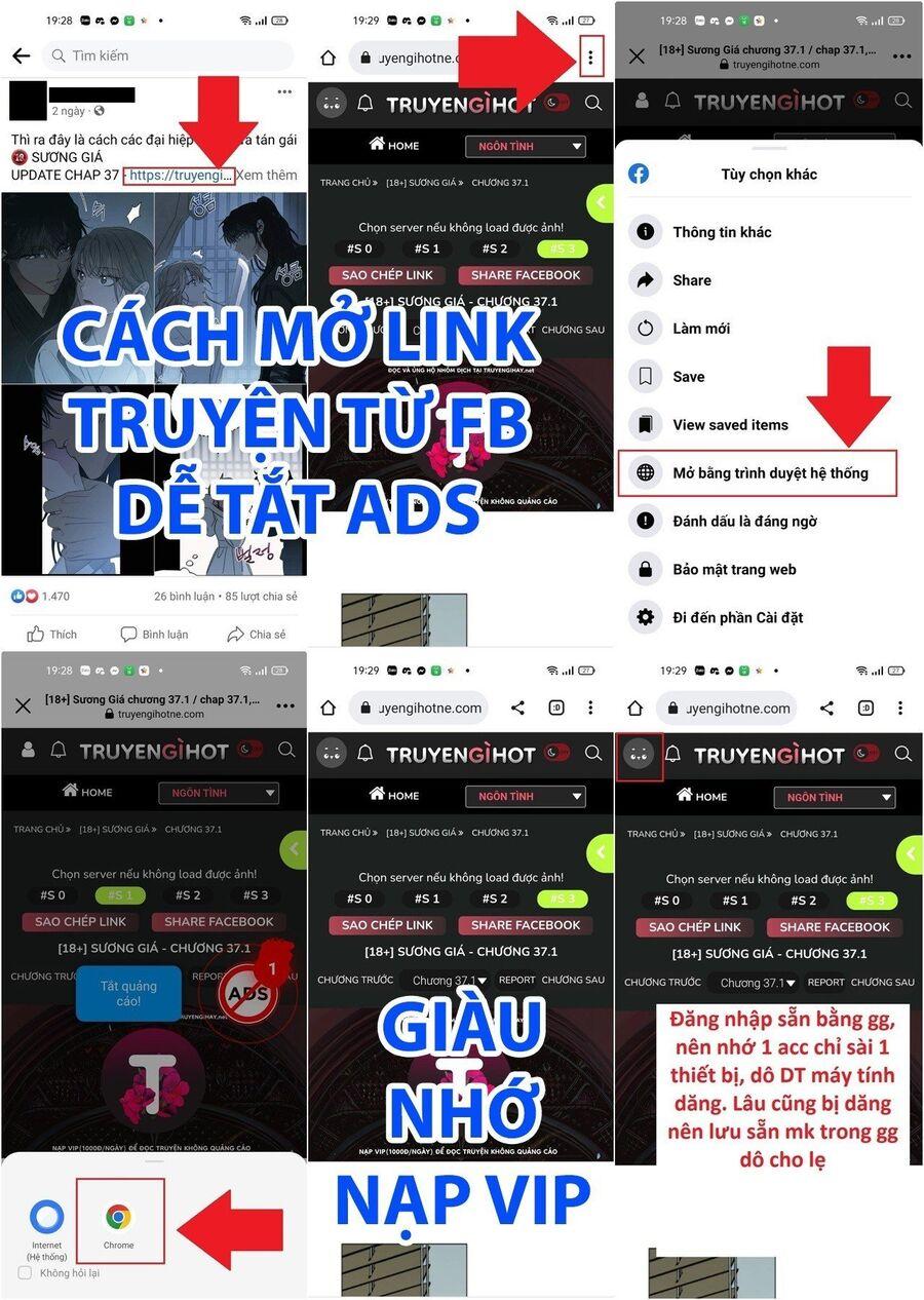 Tình Yêu Trong Sáng 