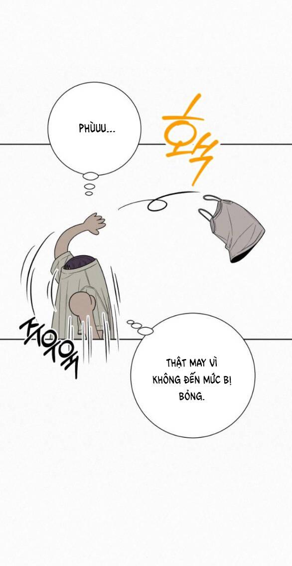 Tình Yêu Trong Sáng 