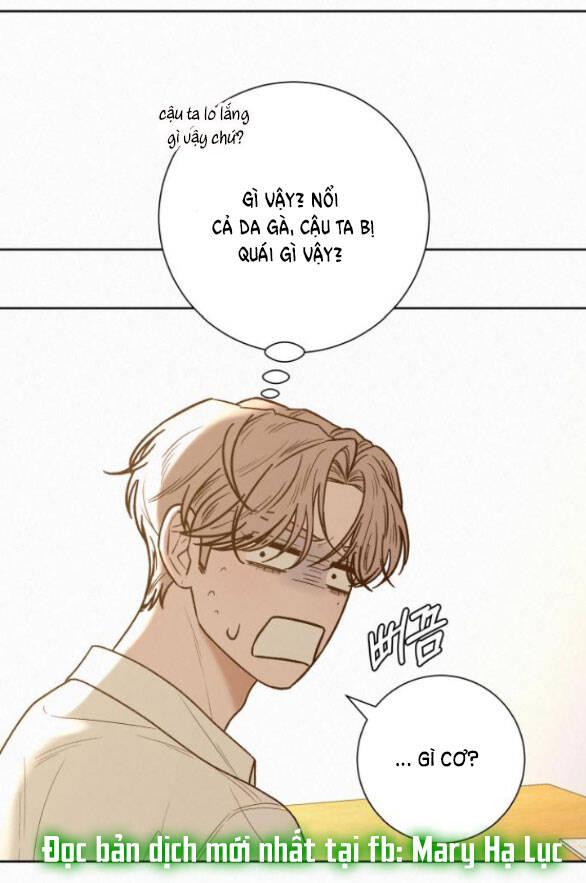 Tình Yêu Trong Sáng 