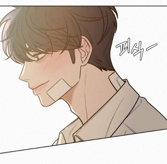 Tình Yêu Trong Sáng 