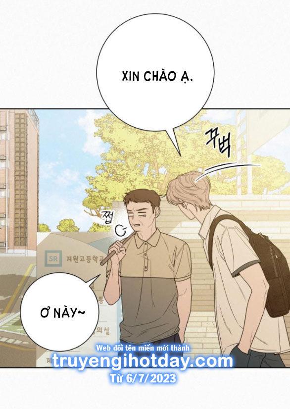 Tình Yêu Trong Sáng 