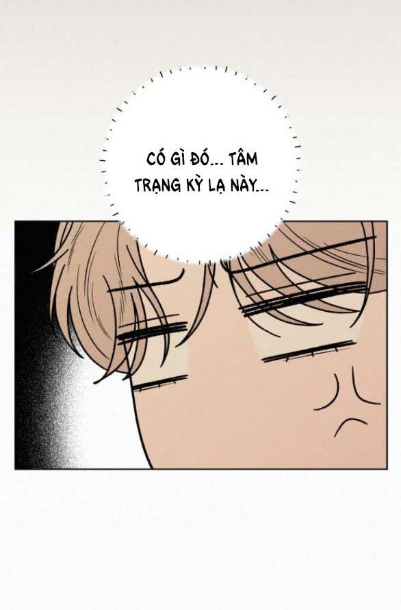 Tình Yêu Trong Sáng 