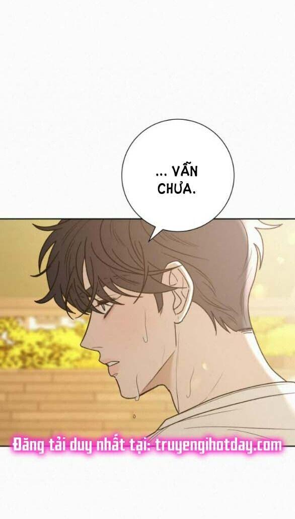 Tình Yêu Trong Sáng 