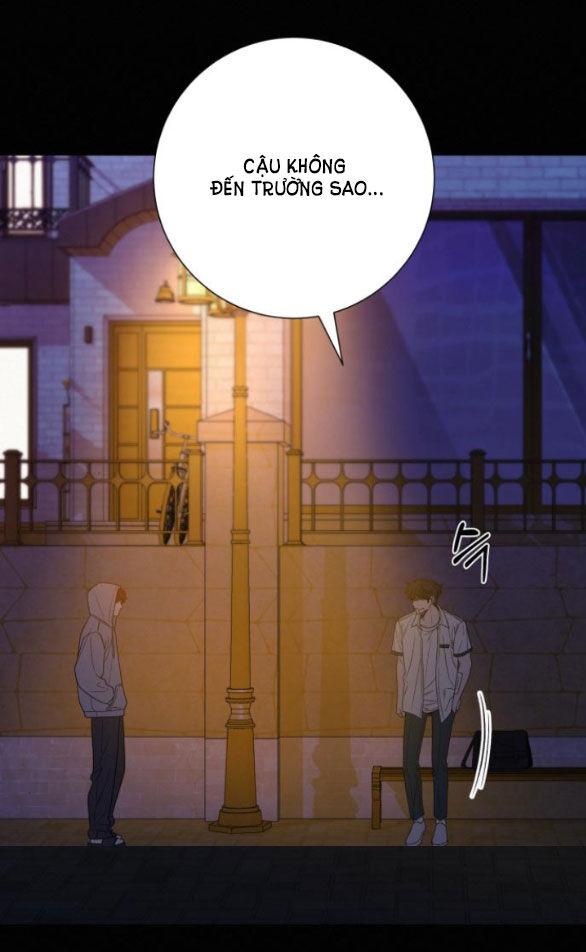 Tình Yêu Trong Sáng 