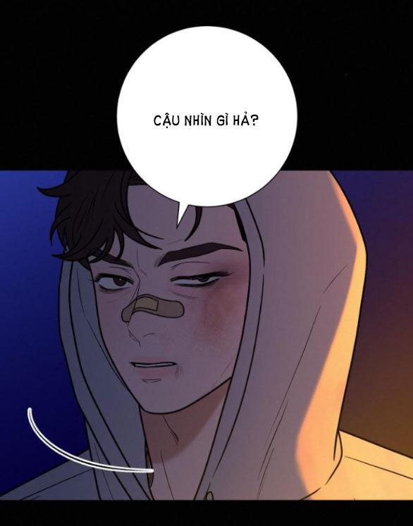 Tình Yêu Trong Sáng 
