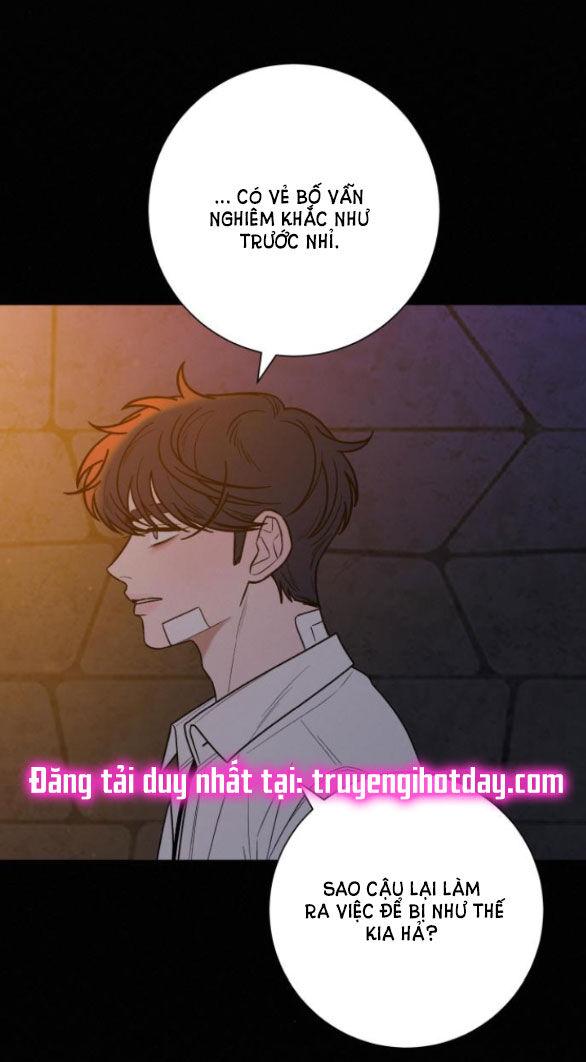 Tình Yêu Trong Sáng 