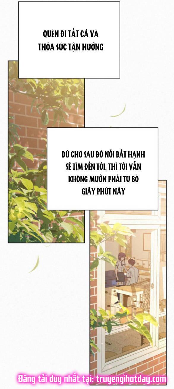 Tình Yêu Trong Sáng 