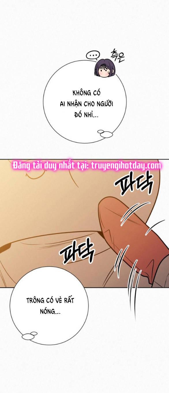 Tình Yêu Trong Sáng 