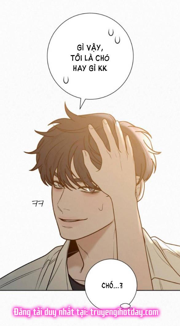 Tình Yêu Trong Sáng 
