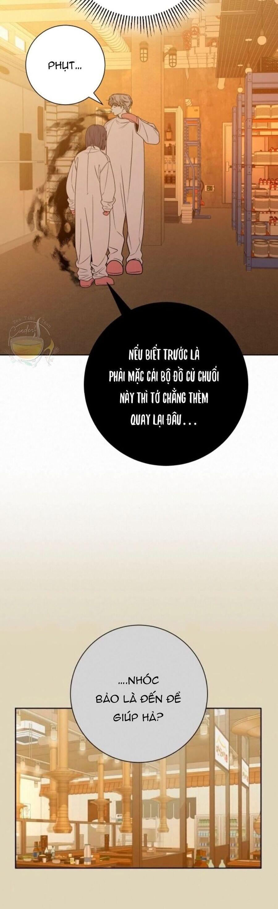 Tình Yêu Trong Sáng 