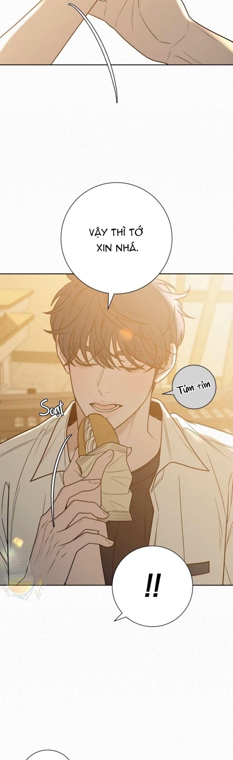 Tình Yêu Trong Sáng 