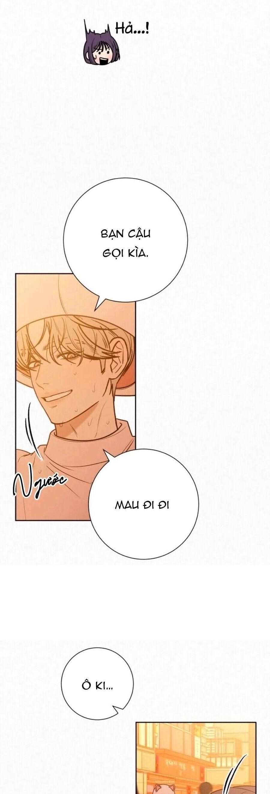Tình Yêu Trong Sáng 