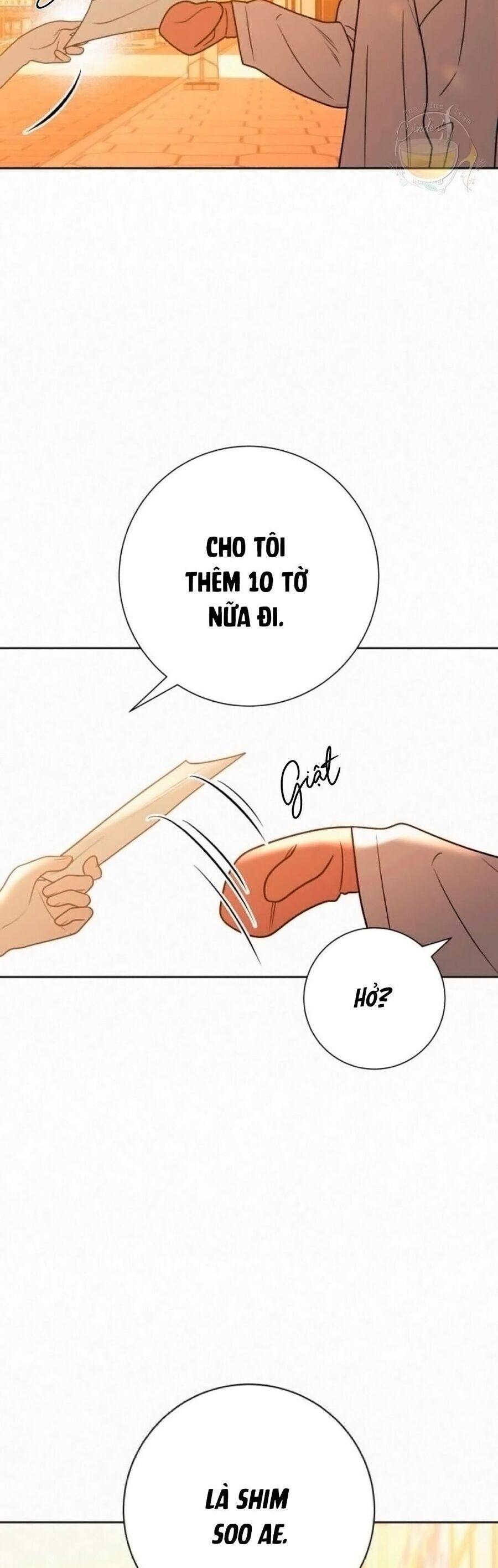 Tình Yêu Trong Sáng 