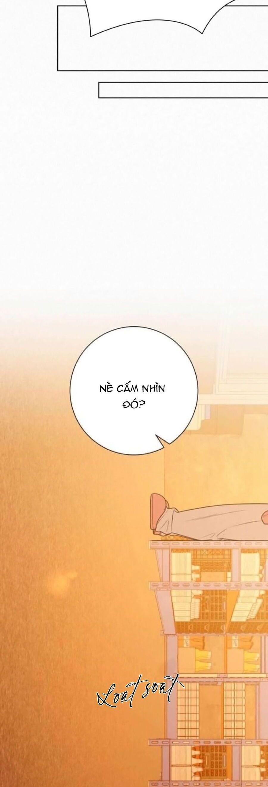 Tình Yêu Trong Sáng 