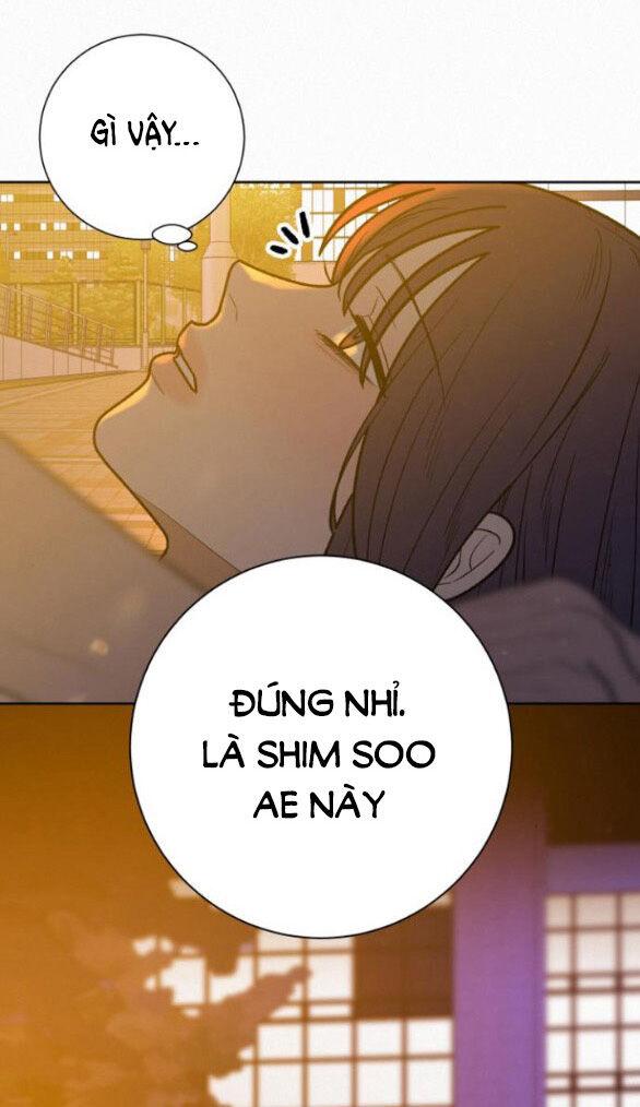 Tình Yêu Trong Sáng 