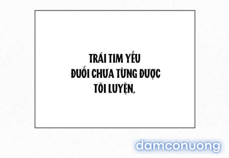 Tình Yêu Trong Sáng 