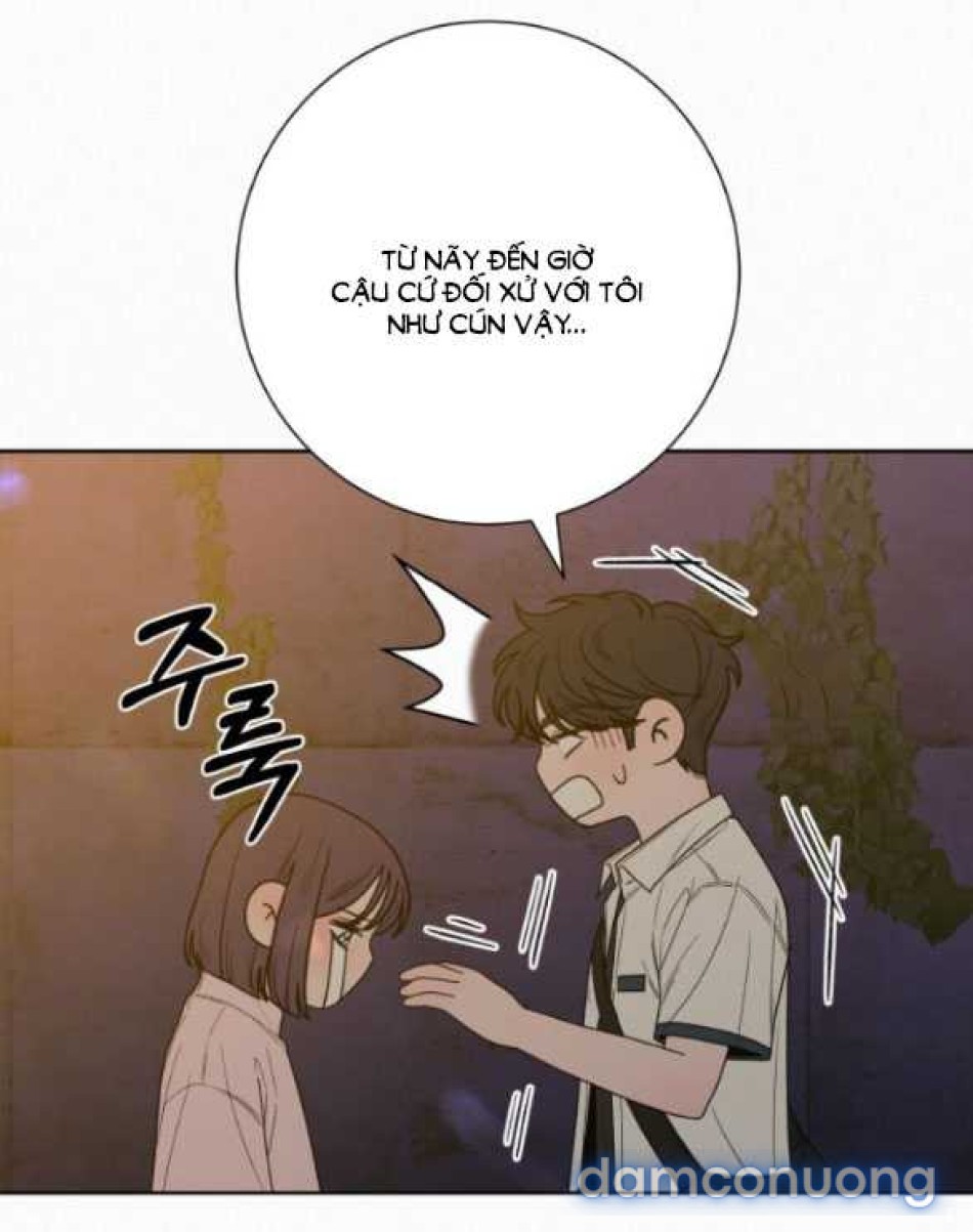 Tình Yêu Trong Sáng 