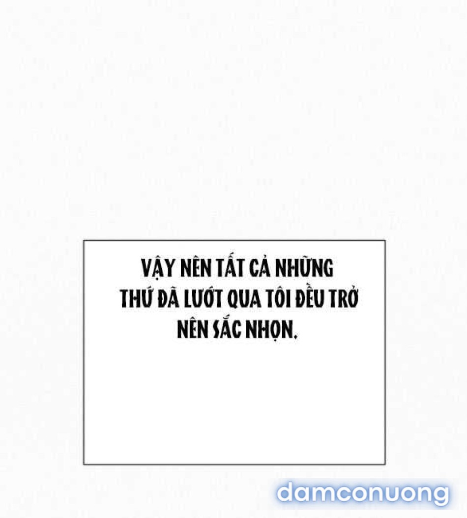 Tình Yêu Trong Sáng 