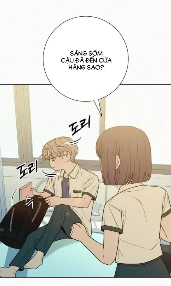 Tình Yêu Trong Sáng 
