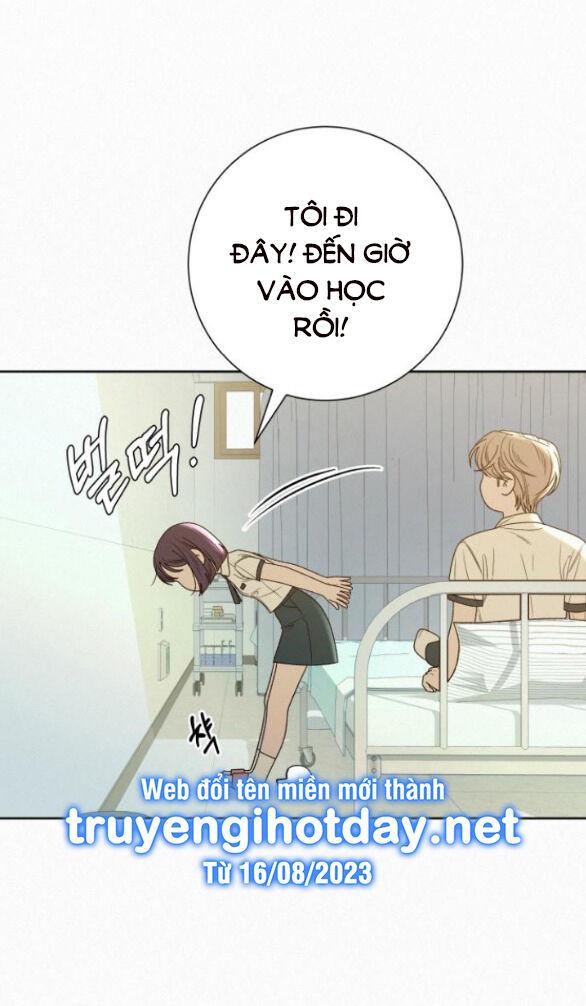 Tình Yêu Trong Sáng 