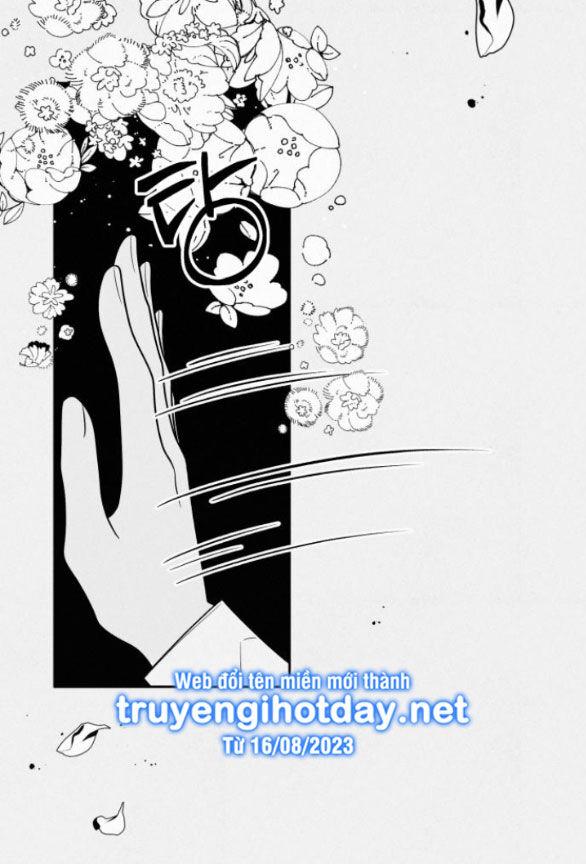 Tình Yêu Trong Sáng 