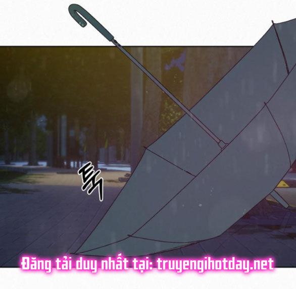 Tình Yêu Trong Sáng 