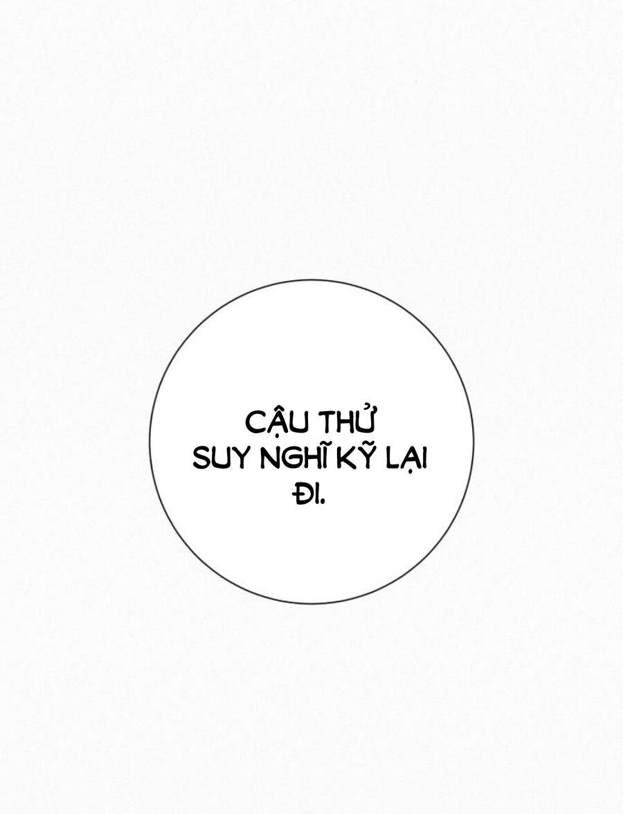Tình Yêu Trong Sáng 