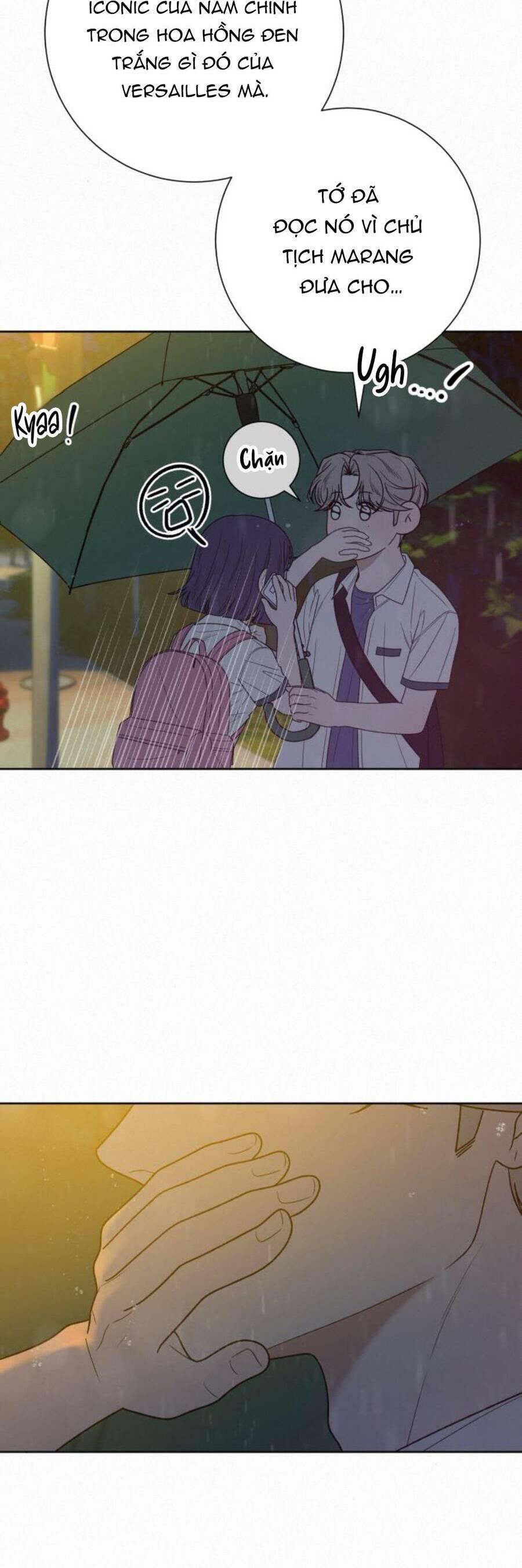 Tình Yêu Trong Sáng 