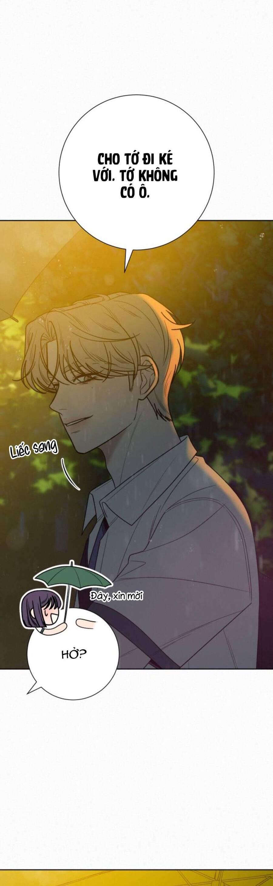 Tình Yêu Trong Sáng 