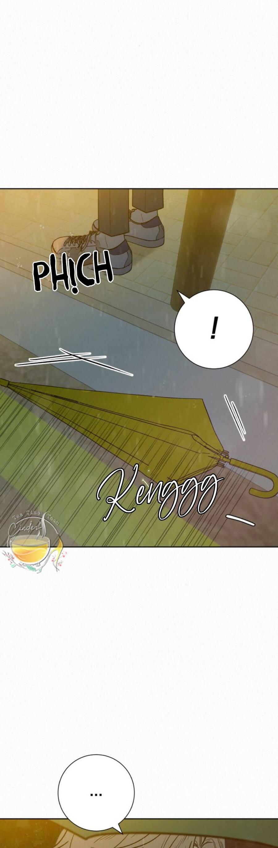 Tình Yêu Trong Sáng 
