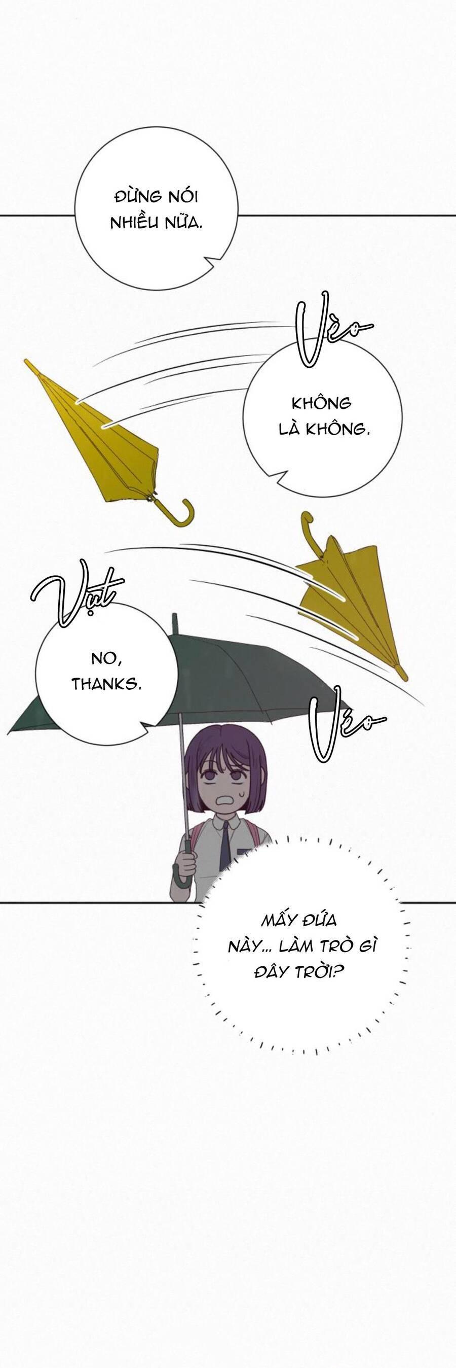 Tình Yêu Trong Sáng 