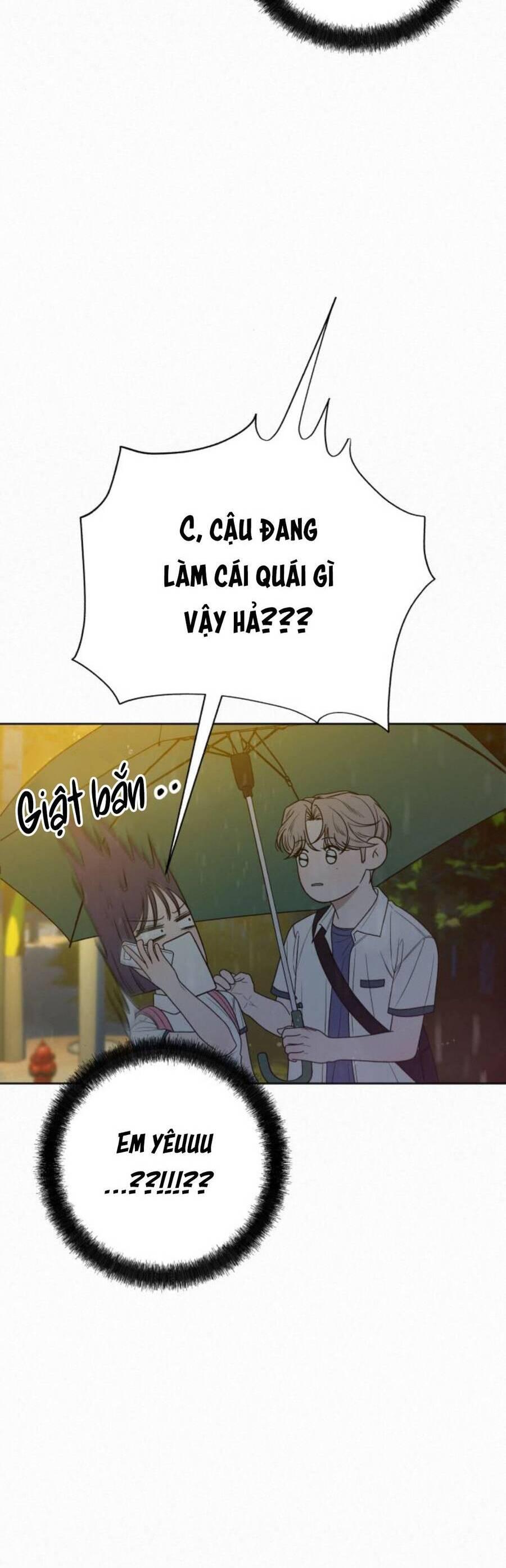 Tình Yêu Trong Sáng 