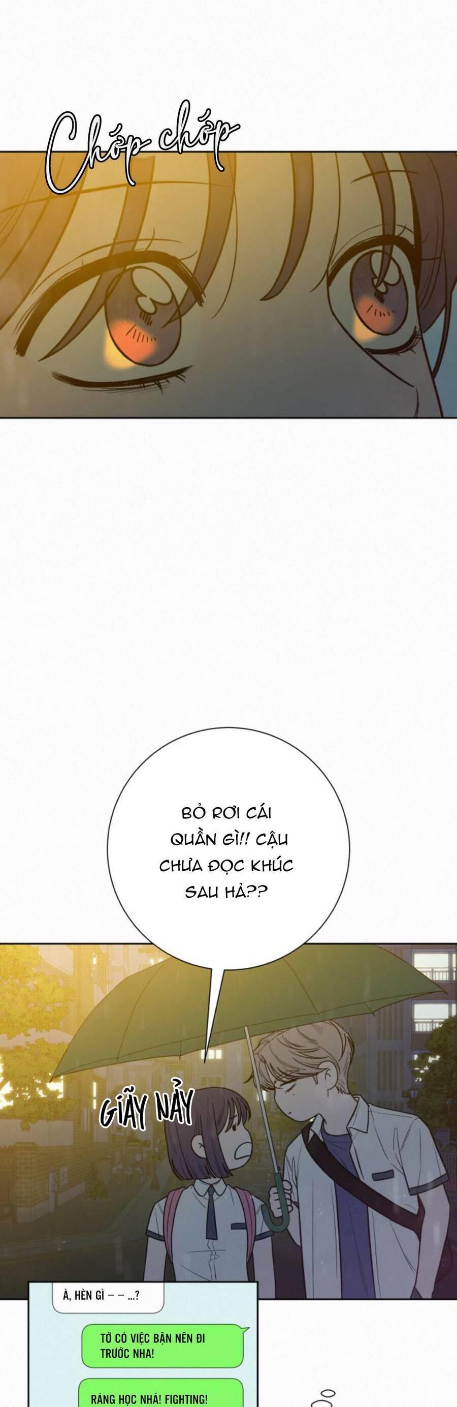 Tình Yêu Trong Sáng 