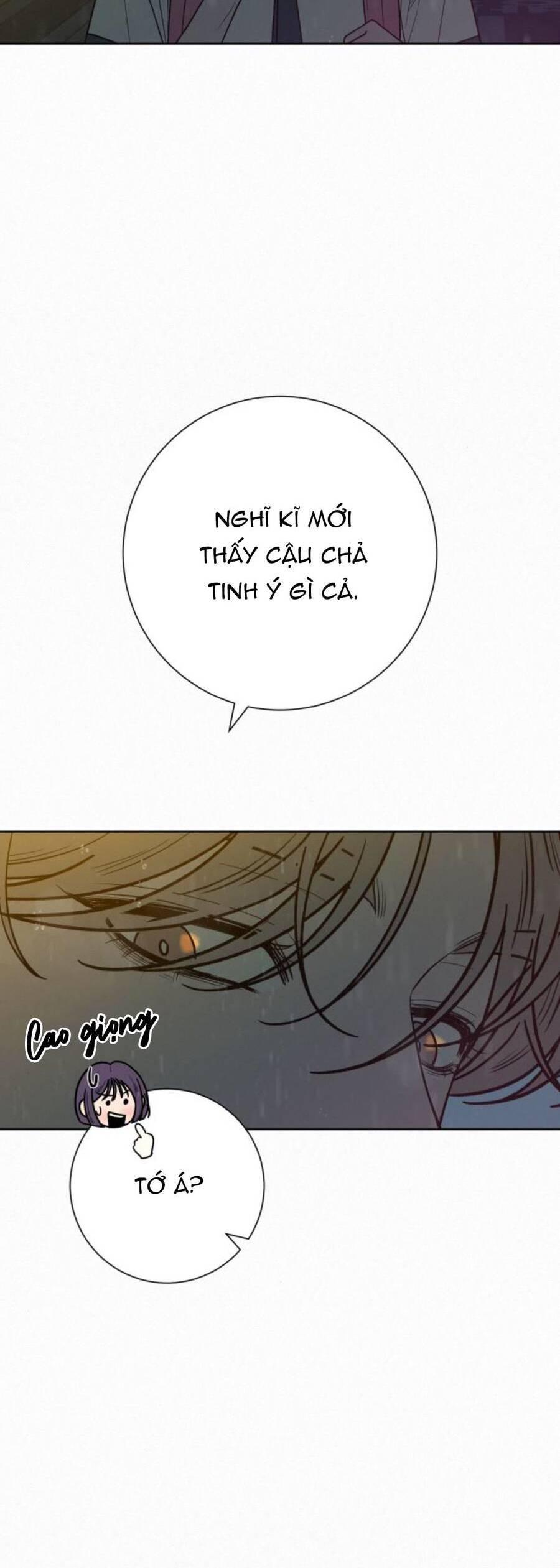 Tình Yêu Trong Sáng 