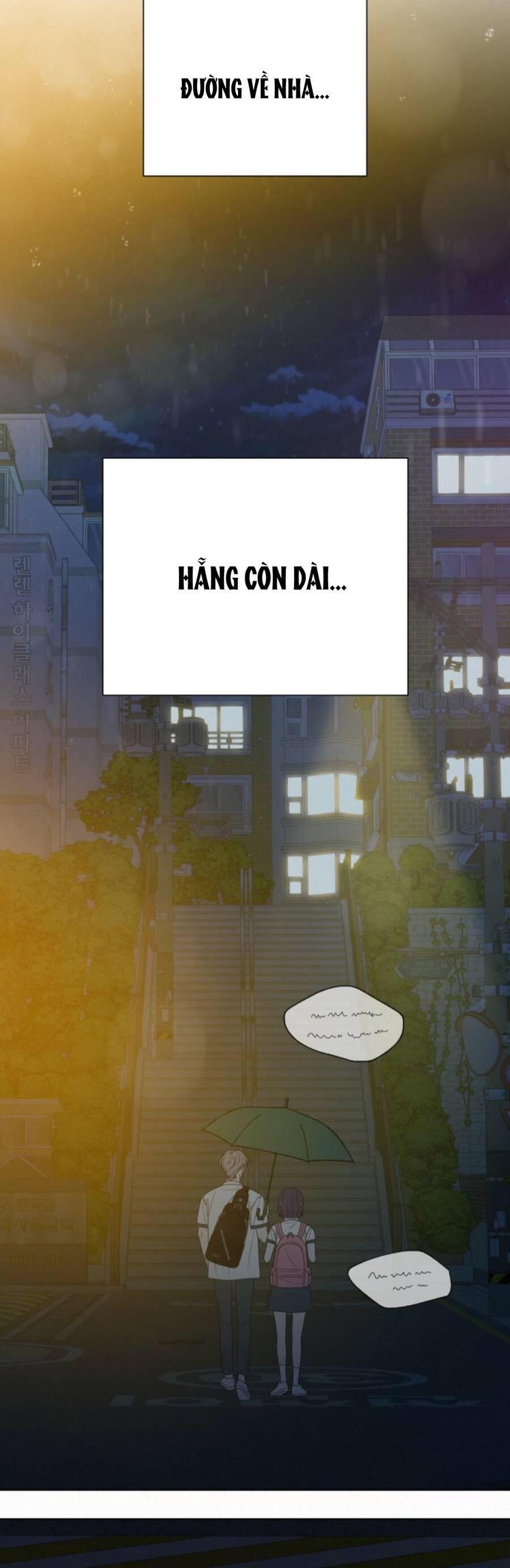 Tình Yêu Trong Sáng 