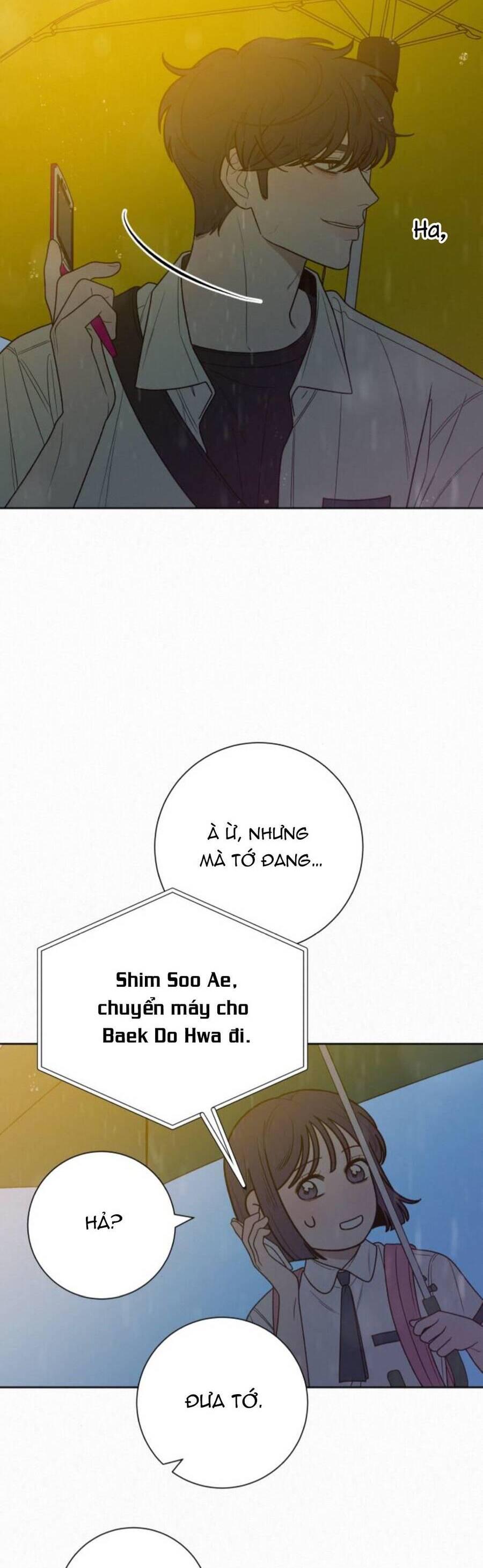 Tình Yêu Trong Sáng 