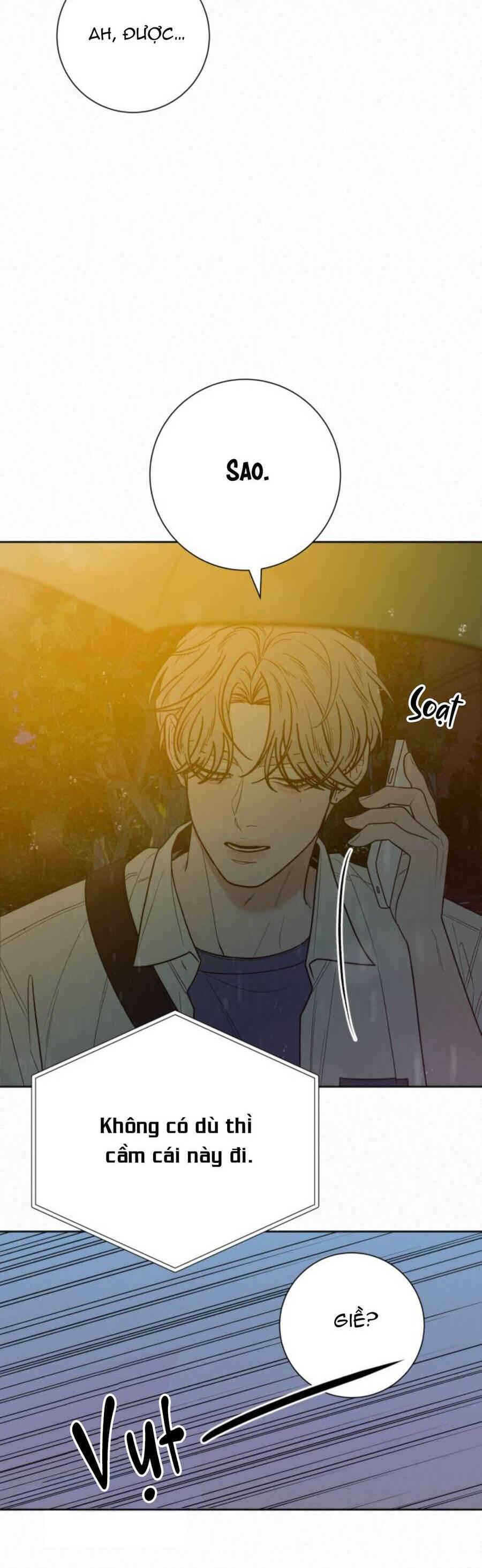 Tình Yêu Trong Sáng 