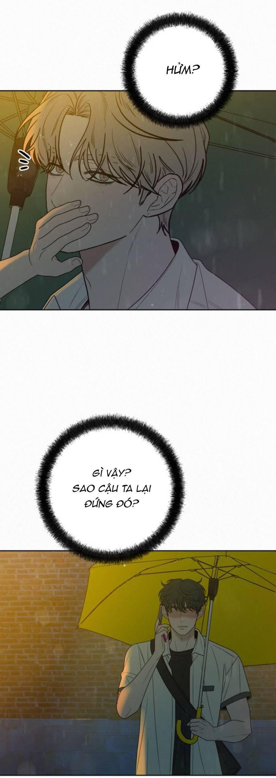 Tình Yêu Trong Sáng 