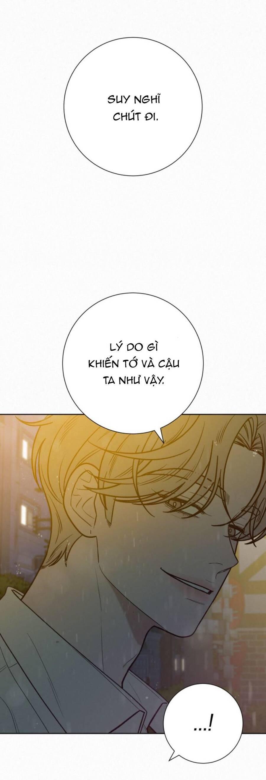 Tình Yêu Trong Sáng 