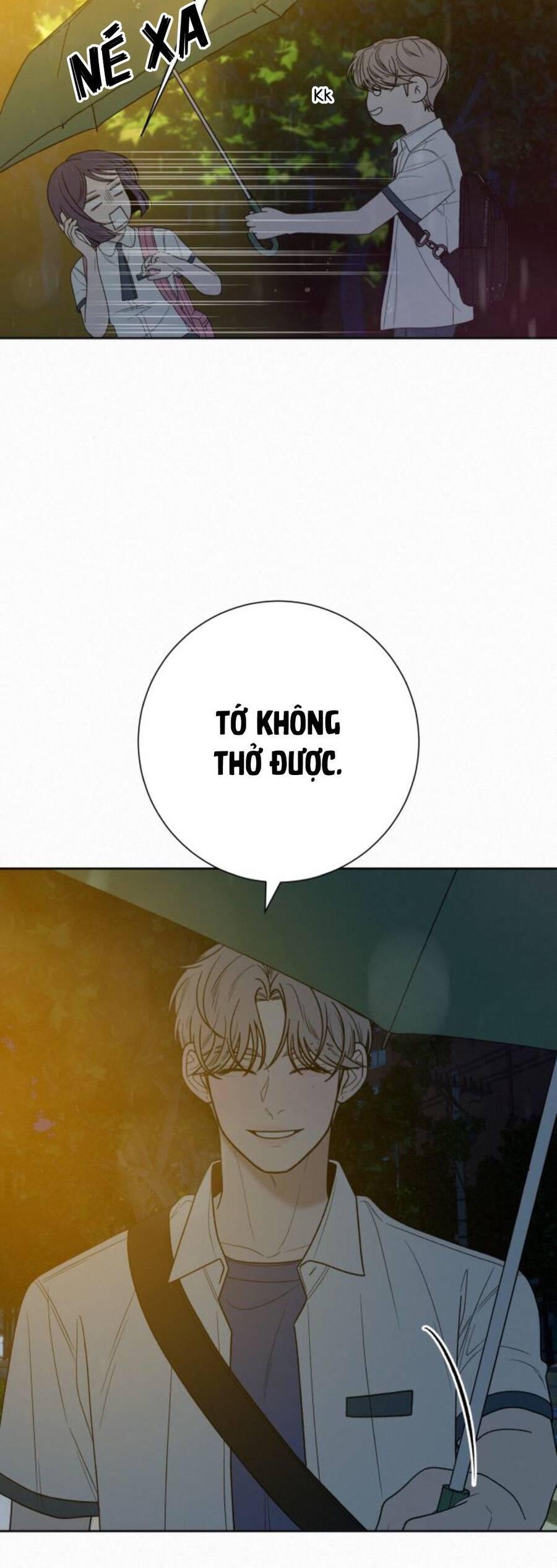 Tình Yêu Trong Sáng 