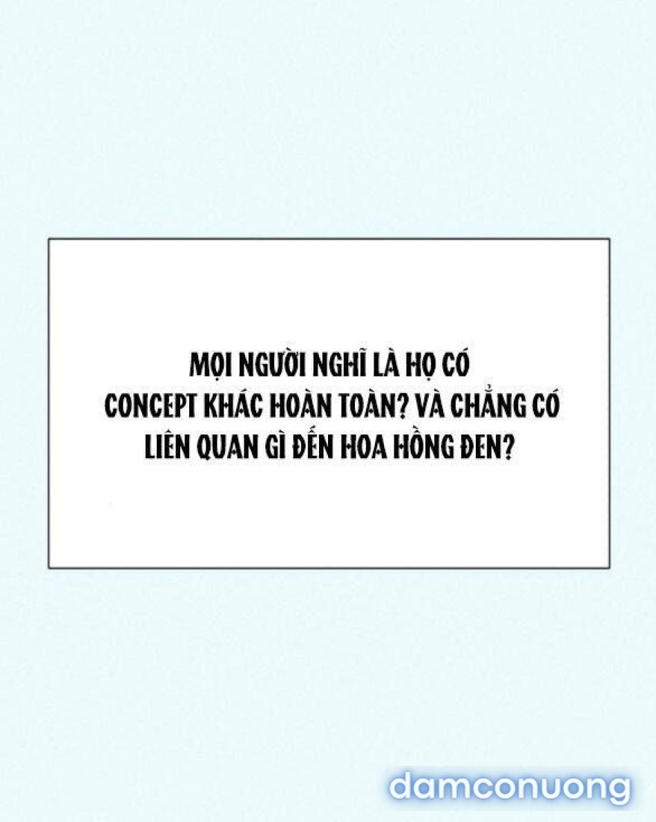Tình Yêu Trong Sáng 