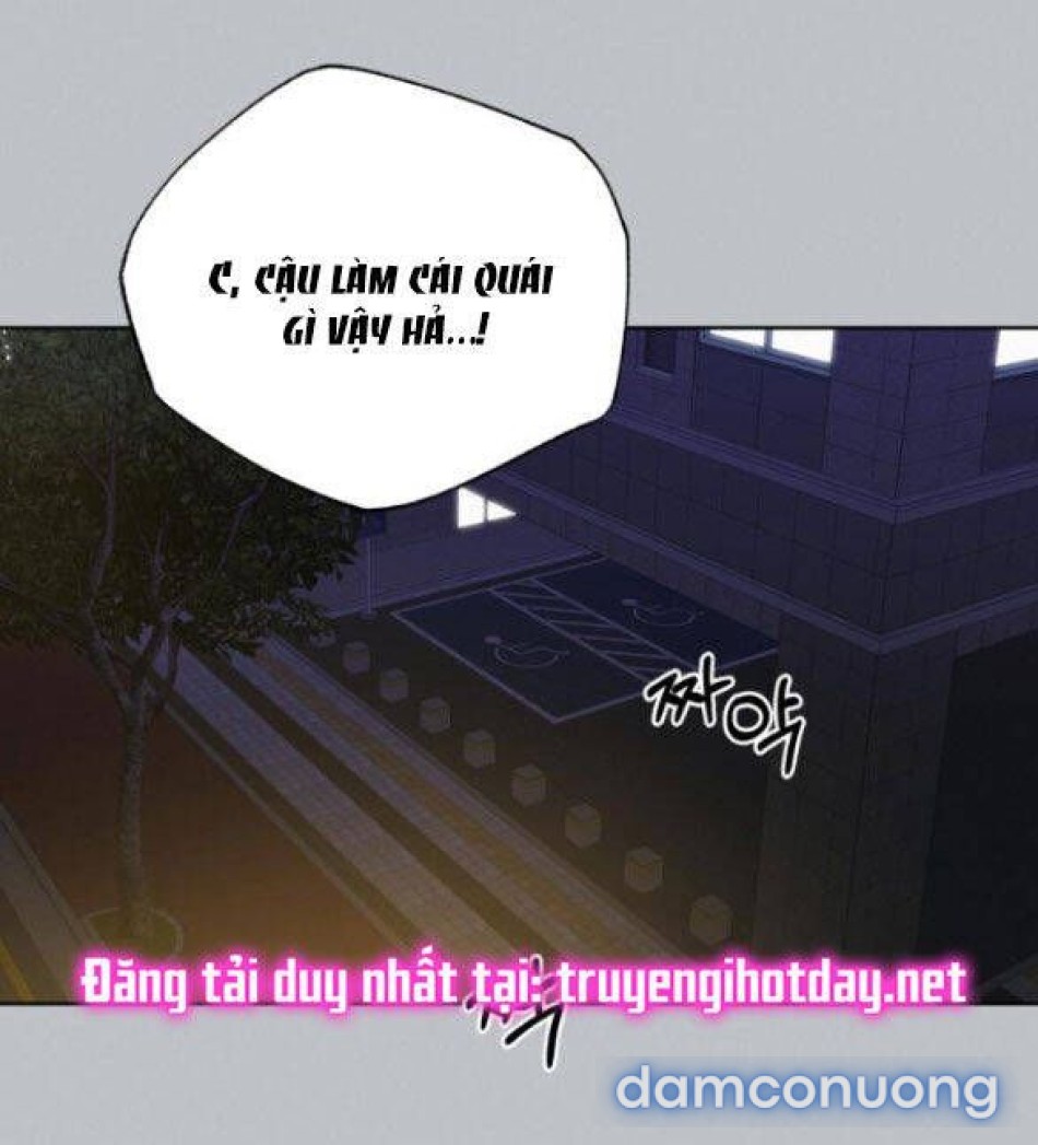 Tình Yêu Trong Sáng 