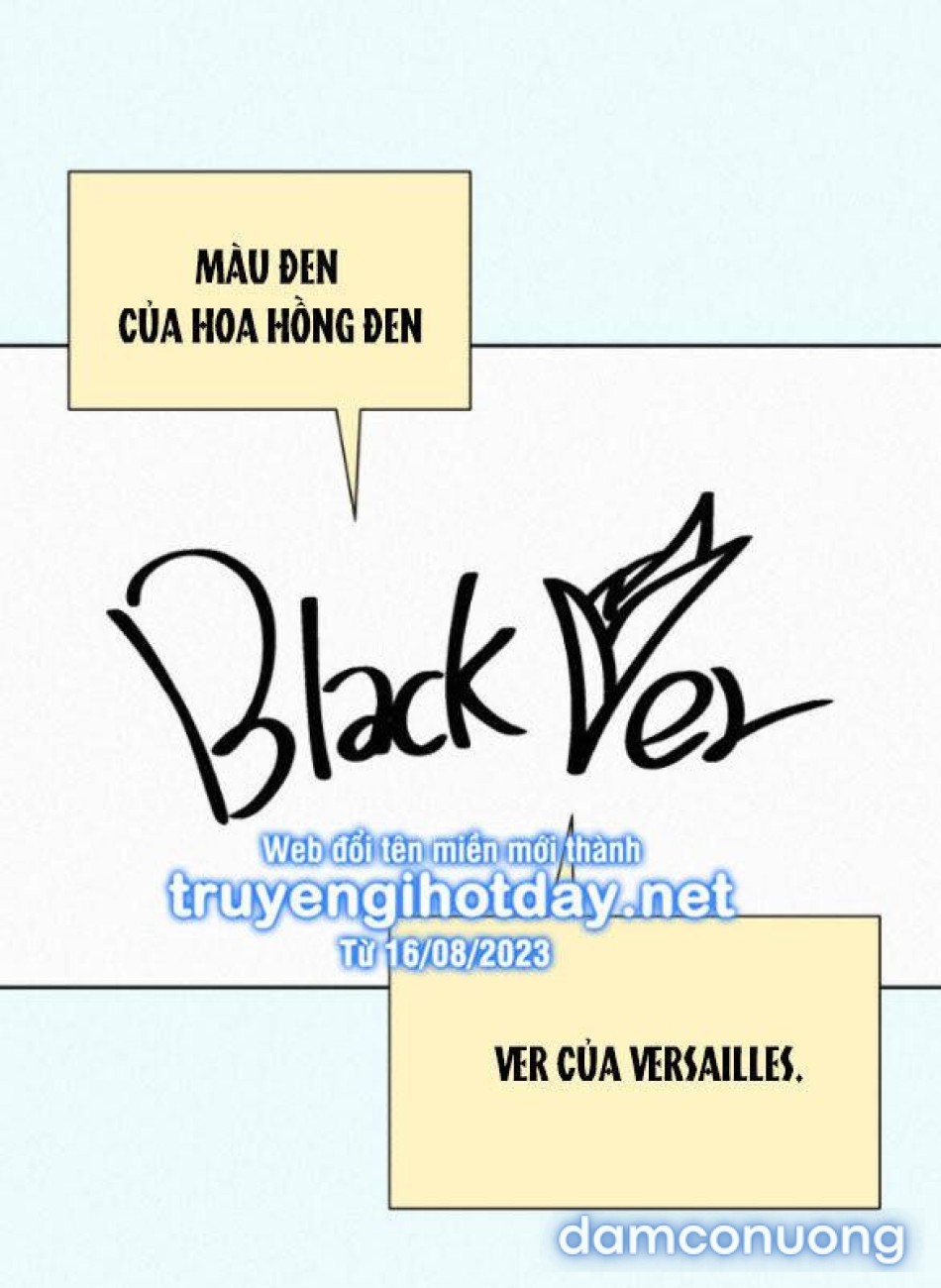 Tình Yêu Trong Sáng 
