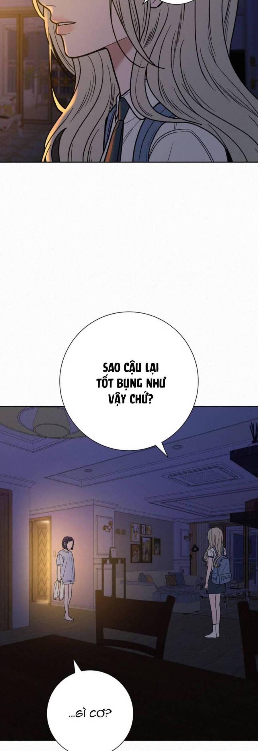 Tình Yêu Trong Sáng 