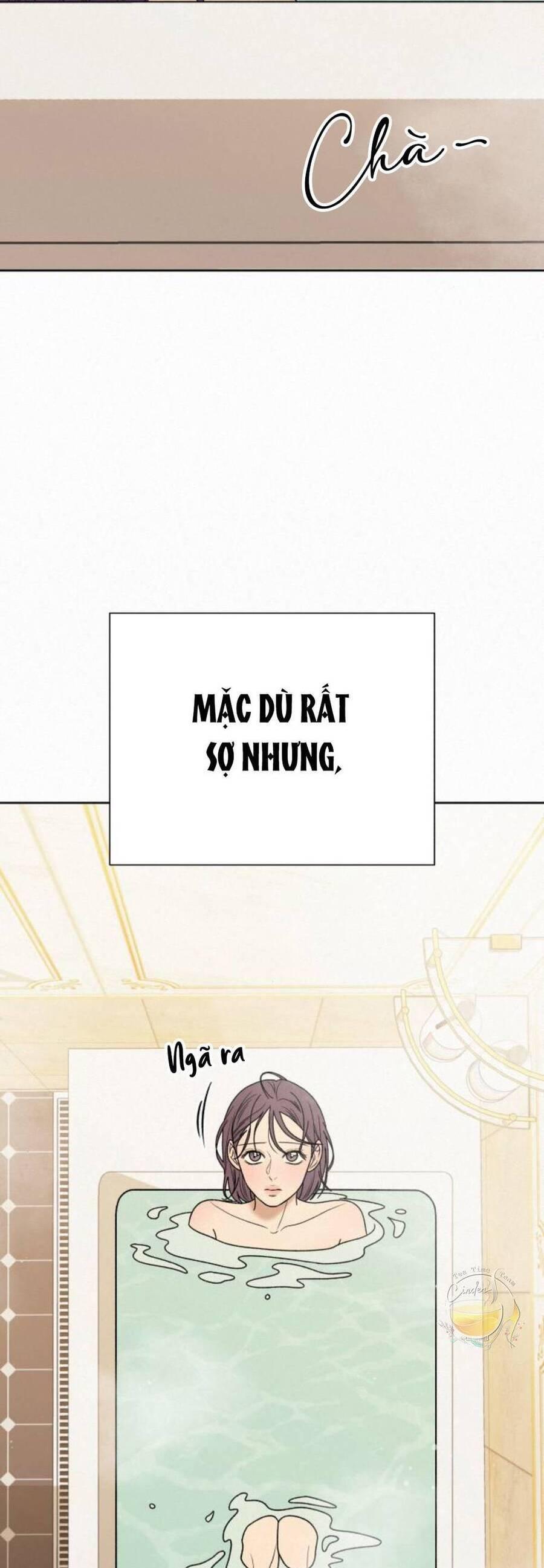 Tình Yêu Trong Sáng 