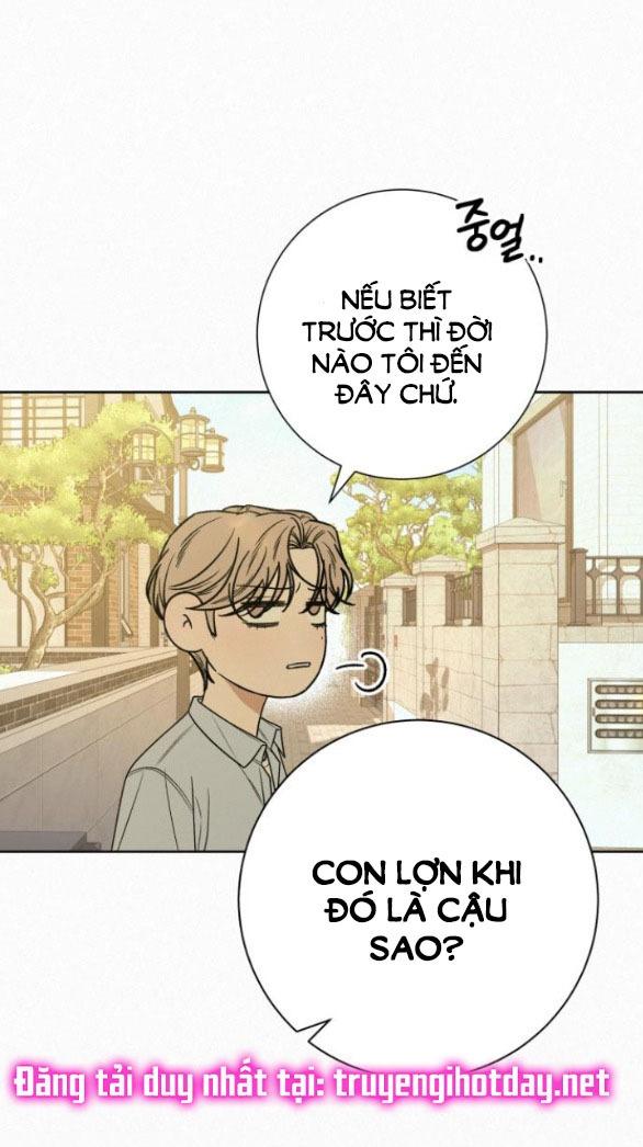 Tình Yêu Trong Sáng 