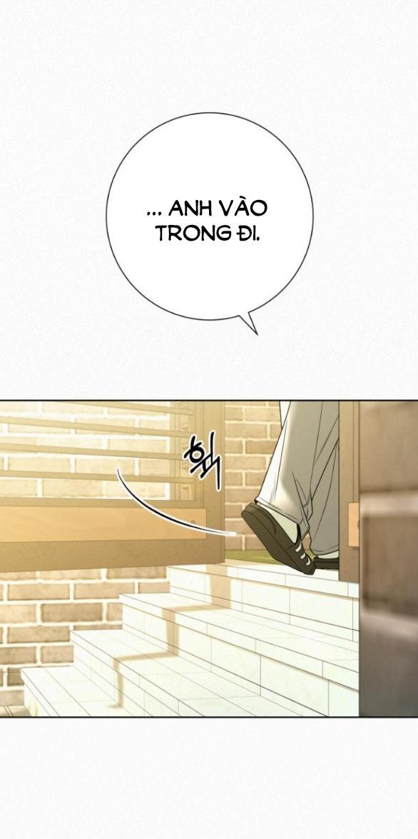 Tình Yêu Trong Sáng 