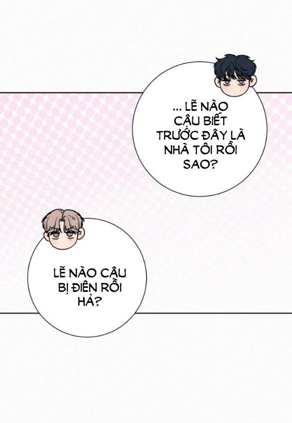 Tình Yêu Trong Sáng 