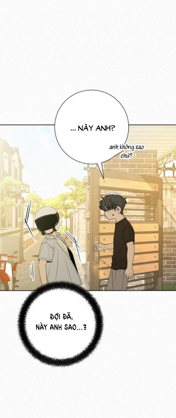 Tình Yêu Trong Sáng 