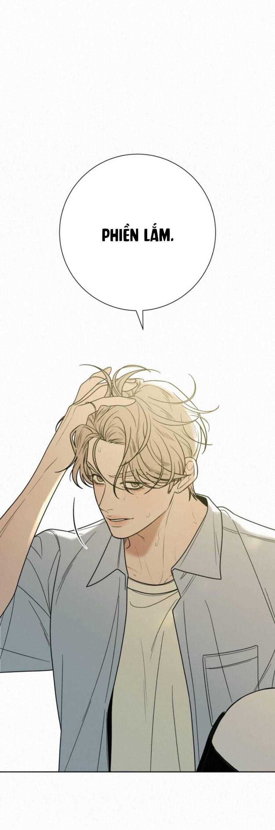Tình Yêu Trong Sáng 